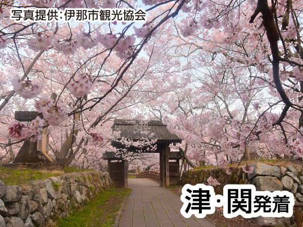 【宿泊】信州桜めぐり(2025)