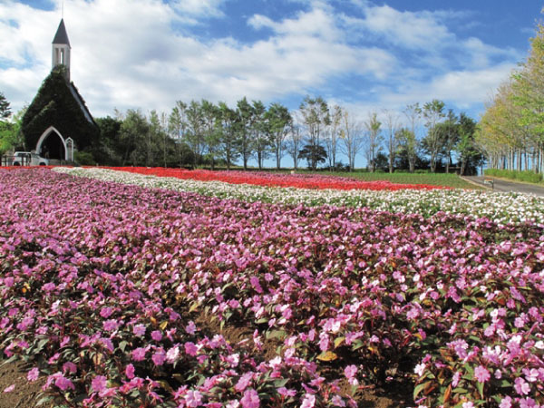 ツアーイメージ