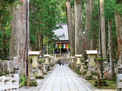 紀州・加太温泉23新緑