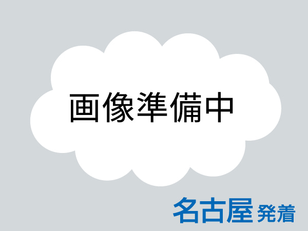 大阪・関西万博2日間(夜間&翌日)