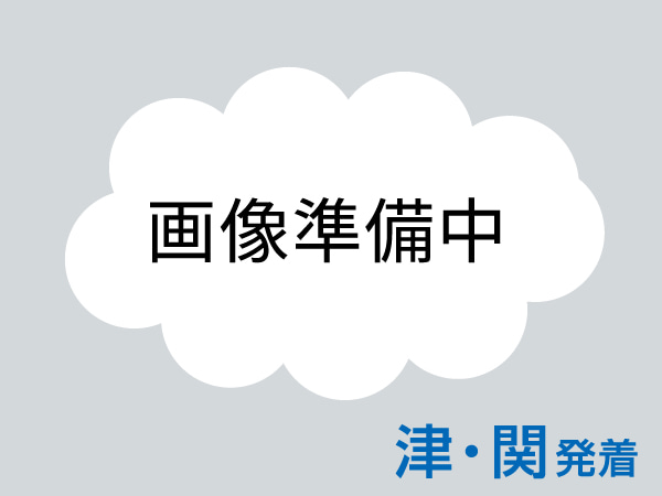 大阪・関西万博2日間(夜間&翌日)
