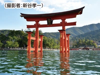 広島 厳島神社・原爆ドーム23緑