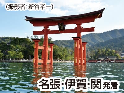 広島 厳島神社・原爆ドーム23緑