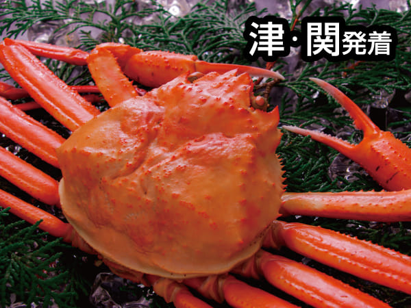 【宿泊】松江しんじ湖温泉2026-