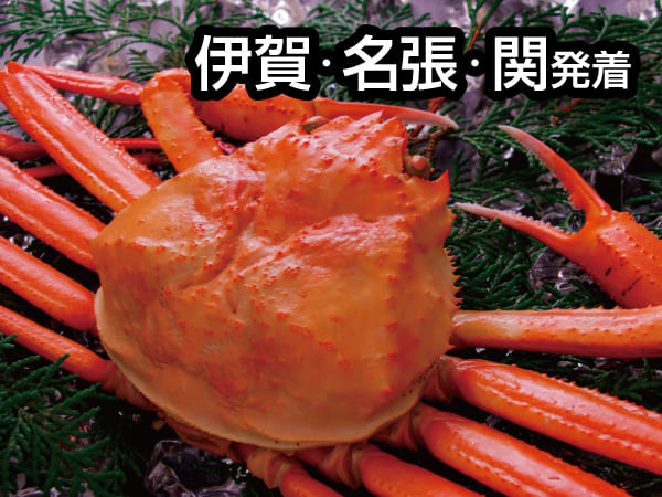 【宿泊】松江しんじ湖温泉2026-