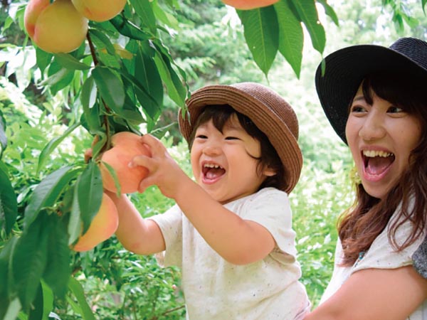 南信州もも狩り・中山道馬籠宿(2025)