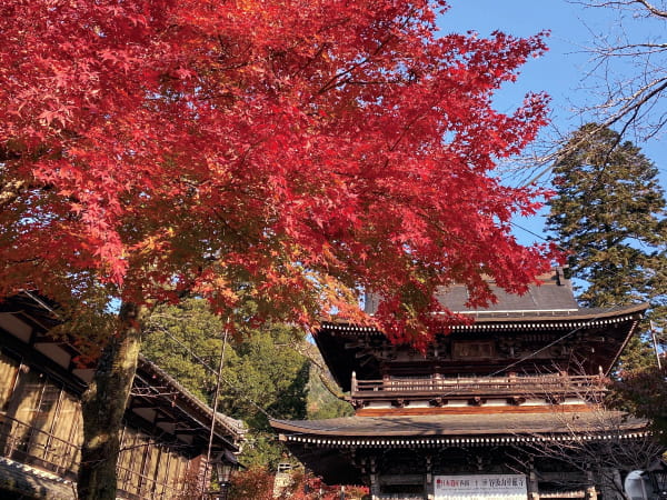 にしみのライナー谷汲山華厳寺
