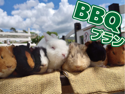 Ｍﾌﾟﾗﾝ：牧歌の里BBQ