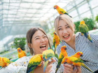 Mプラン:焼津鮪尽くしと掛川花鳥園