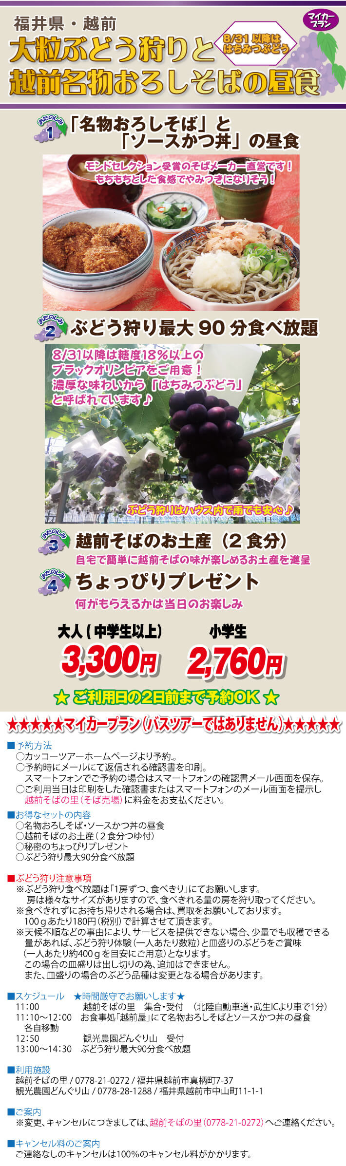 mプラン ぶどう狩りとおろしそば カッコーパルック mプラン ぶどう狩りとおろしそば カッコーパルック