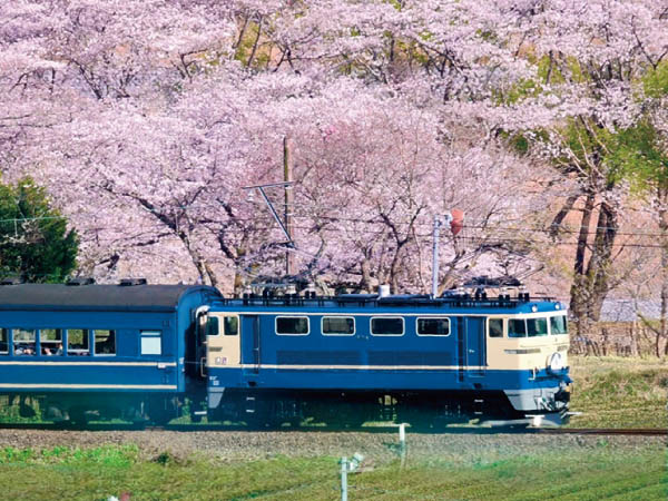 ツアーイメージ