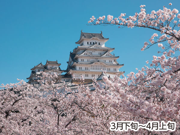 ツアーイメージ