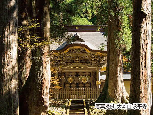 ツアーイメージ