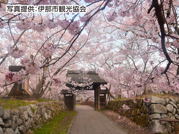 ツアーイメージ