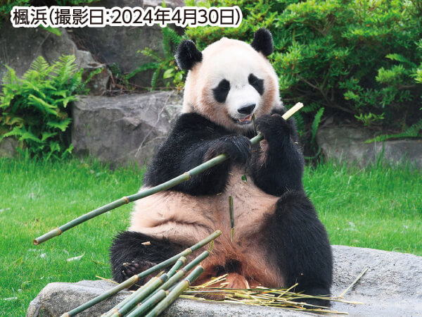 ツアーイメージ