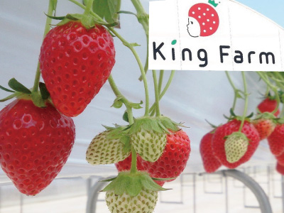 いちご狩り＆カクキューみそ煮込みうどんランチ