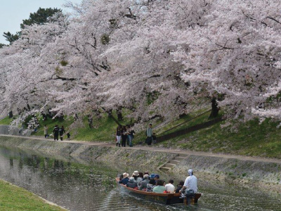 岡崎城下お花見舟あそびとカクキュー八丁味噌の郷