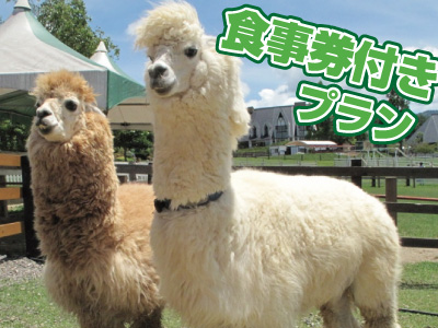牧歌の里　食事券付きプラン